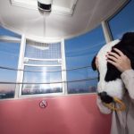 むむむ？その後。