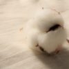 生理用ナプキンは体に優しいものを。