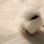 生理用ナプキンは体に優しいものを。