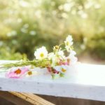 子連れ結婚式。